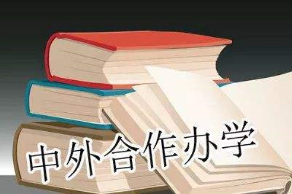 11所自主招生院校开放的中外合作专业