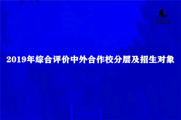 2019年综合评价中外合作校分层及招生对象，2020届参考